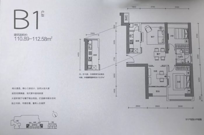 枫叶望海公馆户型图