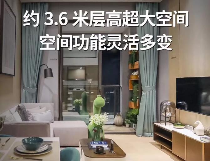 仁恒梦公园样板房图